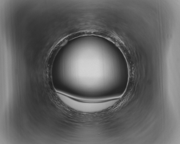 X0000116271352200912071034