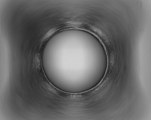 X0000116271354200912071034
