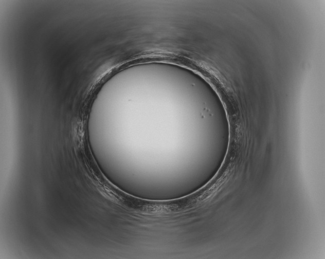X0000116271355200912071034