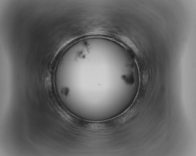 X0000116271356200912071034