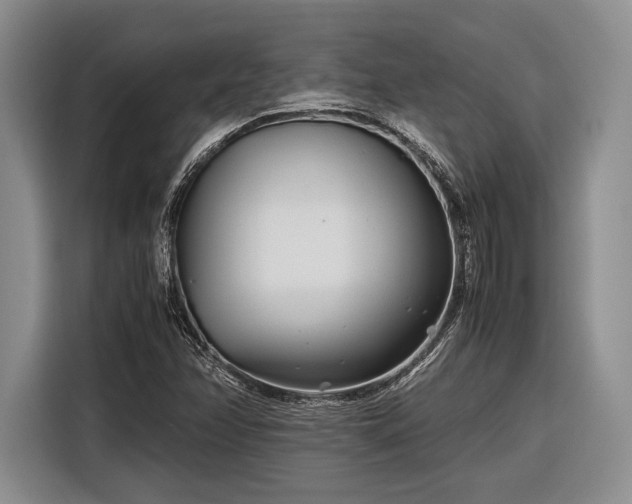 X0000116271358200912071034
