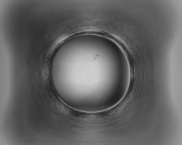 X0000116271359200912071034