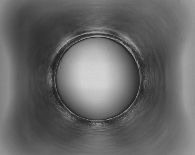 X0000116271360200912071034