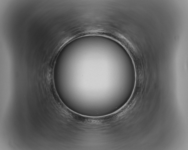 X0000116271361200912071034