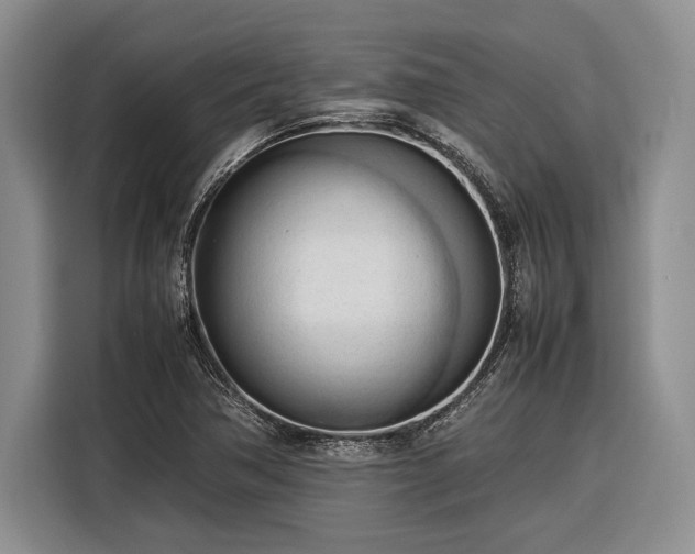 X0000116271362200912071034