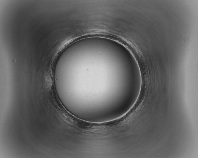 X0000116271363200912071034