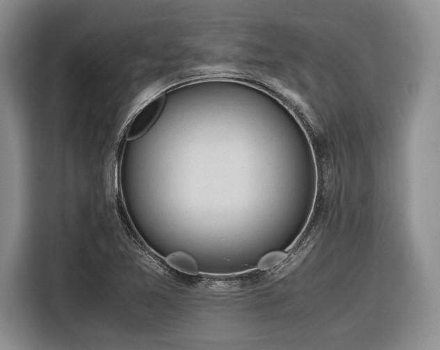 X0000116271365200912071034