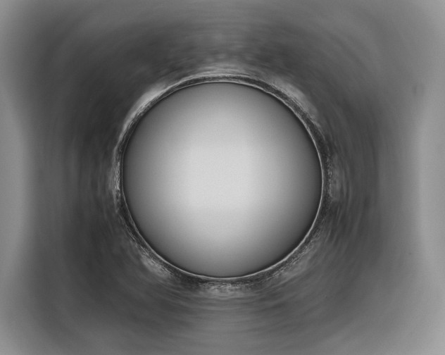 X0000116271366200912071034