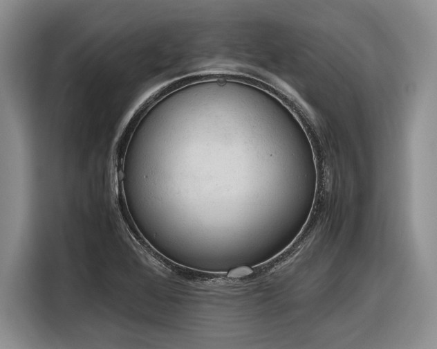 X0000116271368200912071034