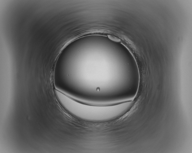X0000116271369200912071034