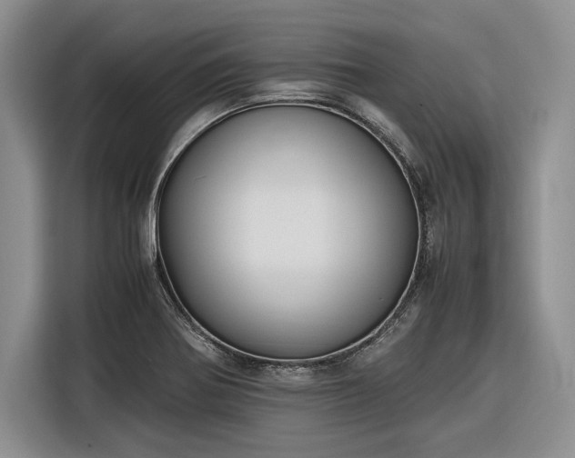 X0000116271370200912071034