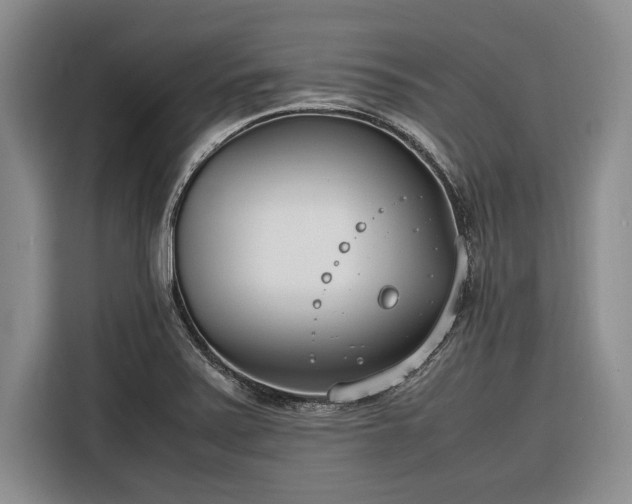 X0000116271371200912071034