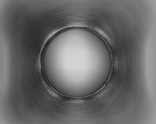 X0000116271372200912071034