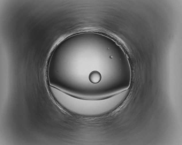 X0000116271373200912071034