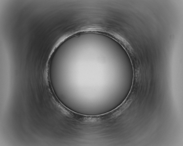 X0000116271374200912071034