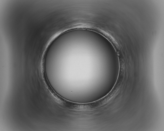 X0000116271375200912071034
