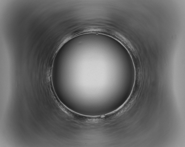 X0000116271377200912071034