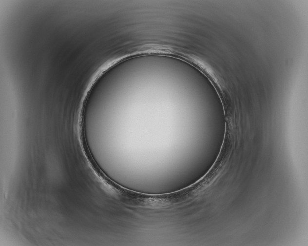 X0000116271379200912071034