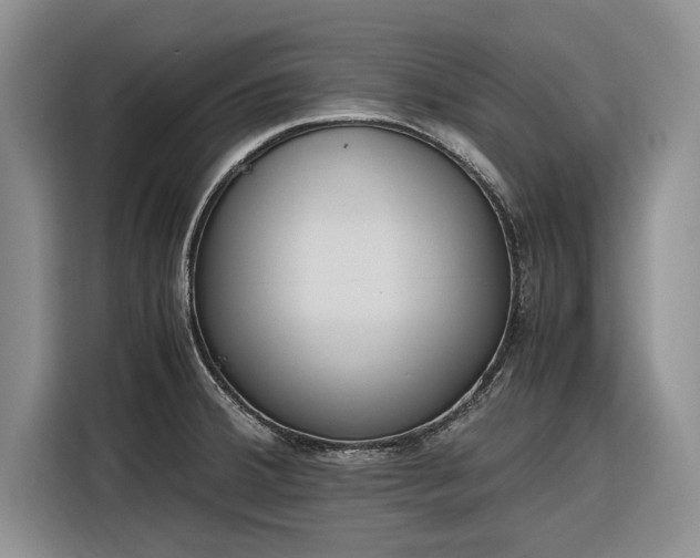 X0000116271380200912071034