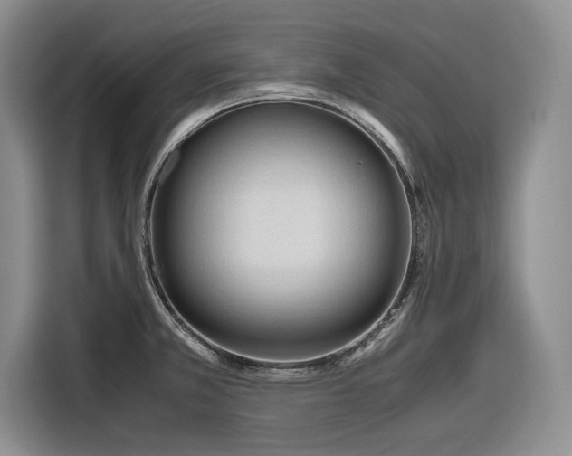 X0000116271381200912071034