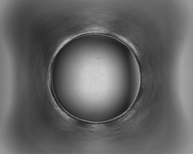 X0000116271383200912071034