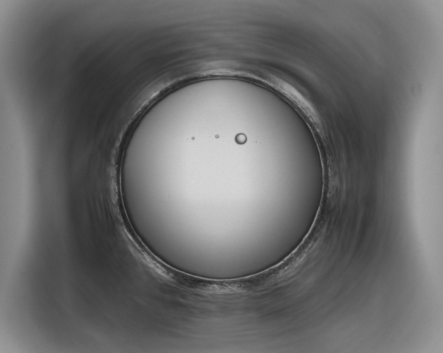 X0000116271384200912071034