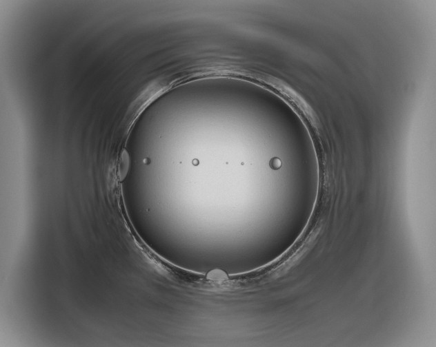 X0000116271385200912071034