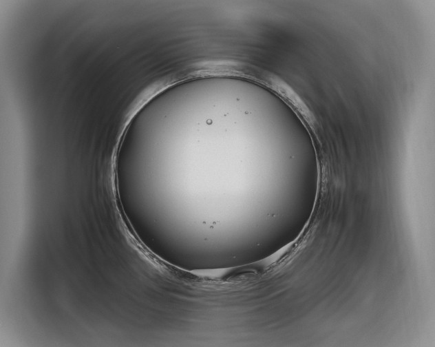 X0000116271386200912071033