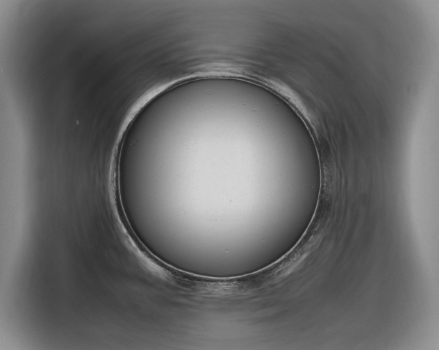 X0000116271387200912071033
