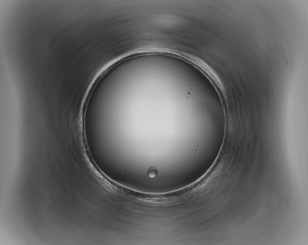 X0000116271388200912071033