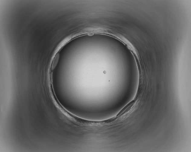 X0000116271389200912071033