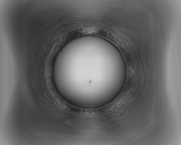 X0000116271393200912071033