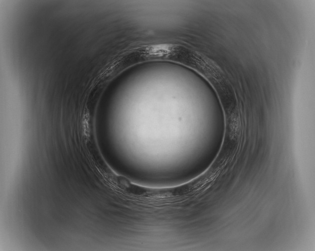 X0000116271394200912071033