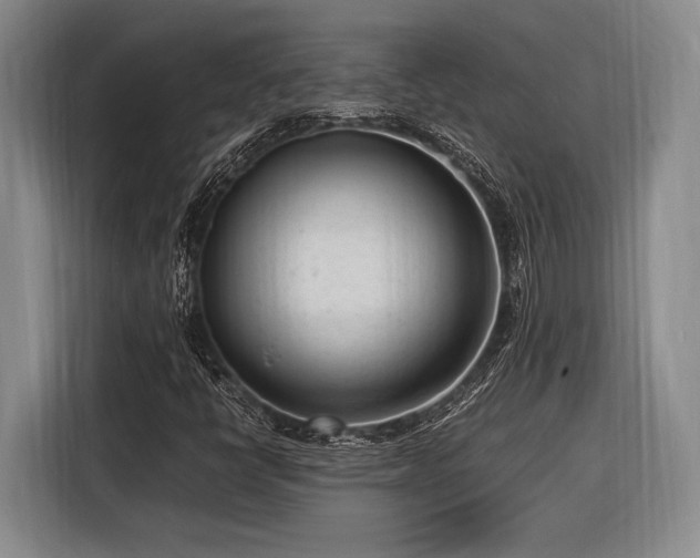 X0000116271398200912071033