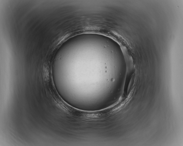 X0000116271401200912071033