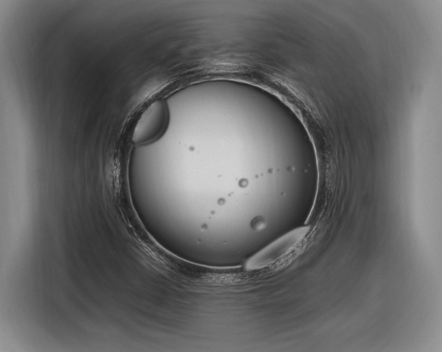 X0000116271402200912071033