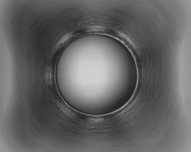 X0000116271403200912071033