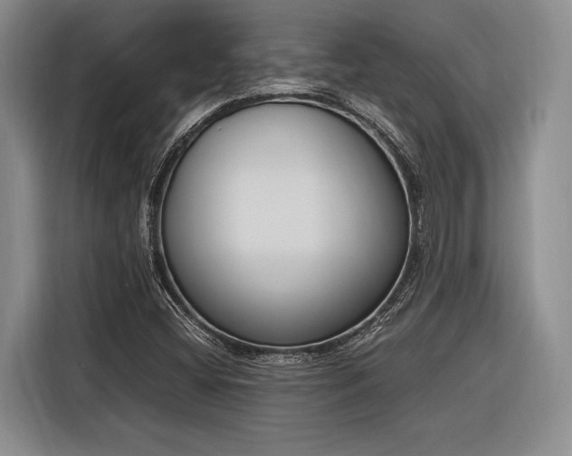 X0000116271404200912071033