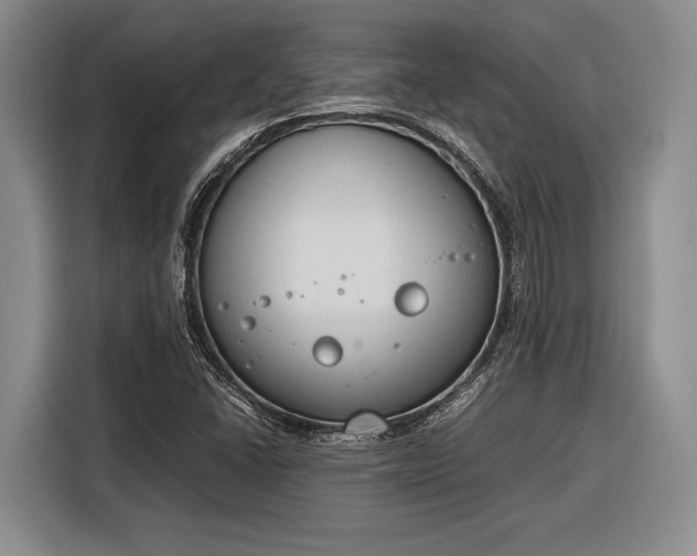 X0000116271406200912071033