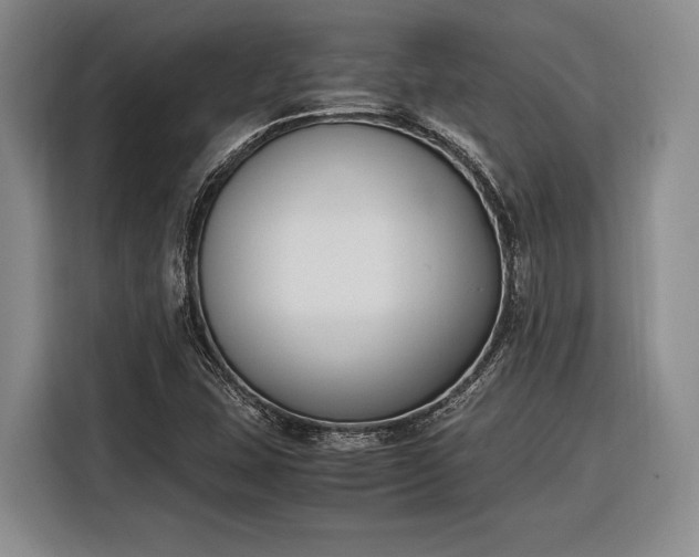 X0000116271407200912071033