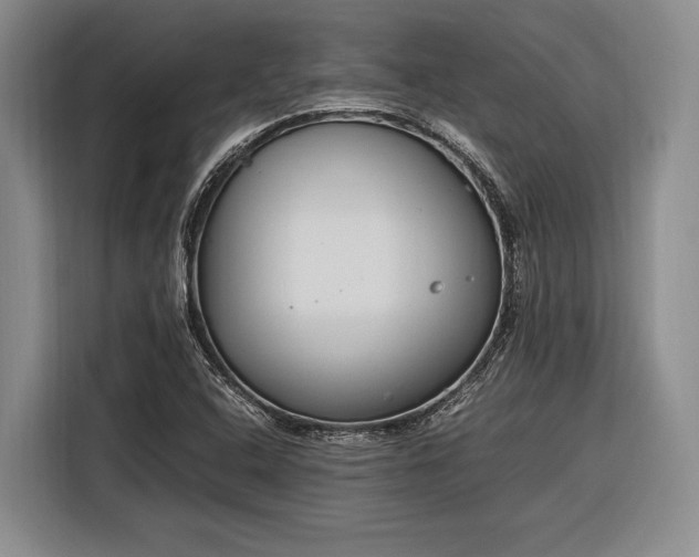 X0000116271408200912071033
