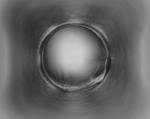 X0000116271414200912071033