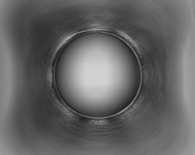 X0000116271415200912071033