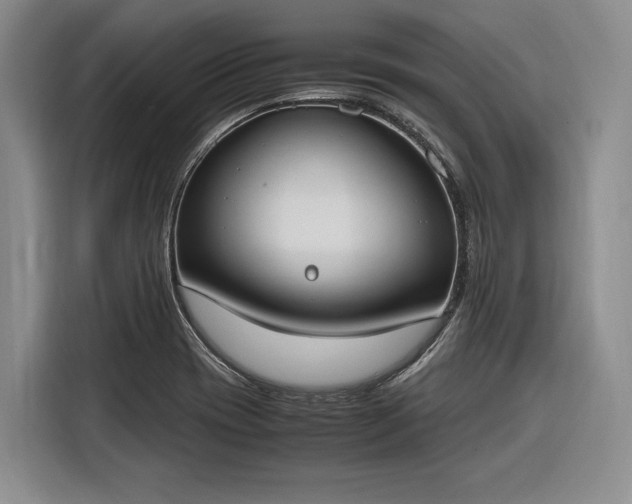 X0000116271417200912071033