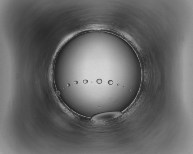 X0000116271421200912071033