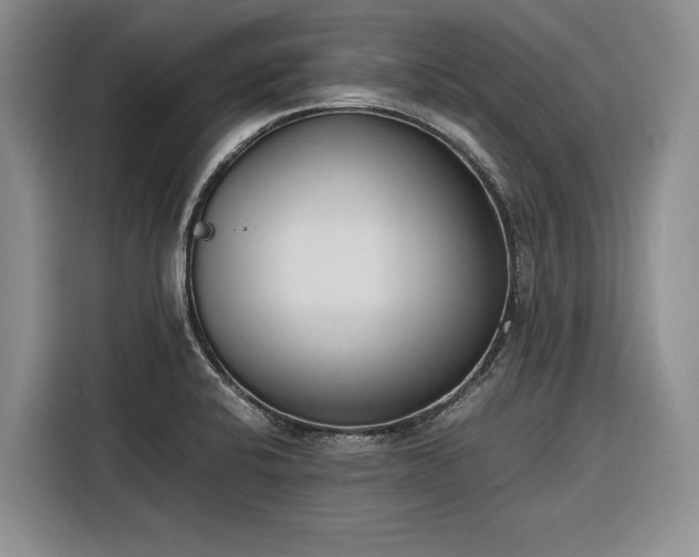 X0000116271424200912071033