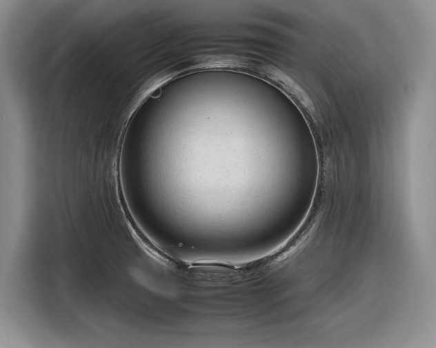 X0000116271425200912071033