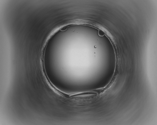 X0000116271429200912071033