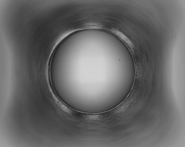 X0000116271431200912071033