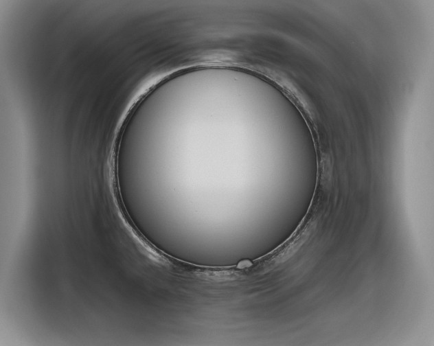 X0000116271432200912071033